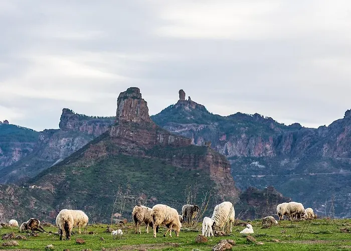Pm237 - Paraiso Maspalomas Playa del Inglés