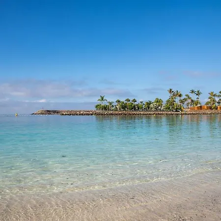 Pm237 - Paraiso Maspalomas