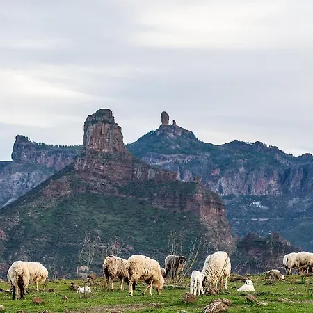 Pm237 - Paraiso Maspalomas Playa del Inglés