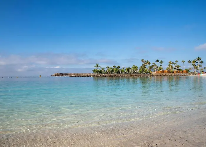 Pm237 - Paraiso Maspalomas